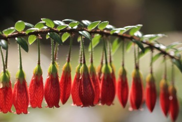 肇庆广宁6私人快速借钱网，轻松解决资金难题