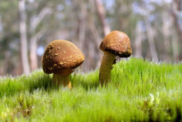 肇庆广宁6私人老板放款：轻松融资的秘密通道